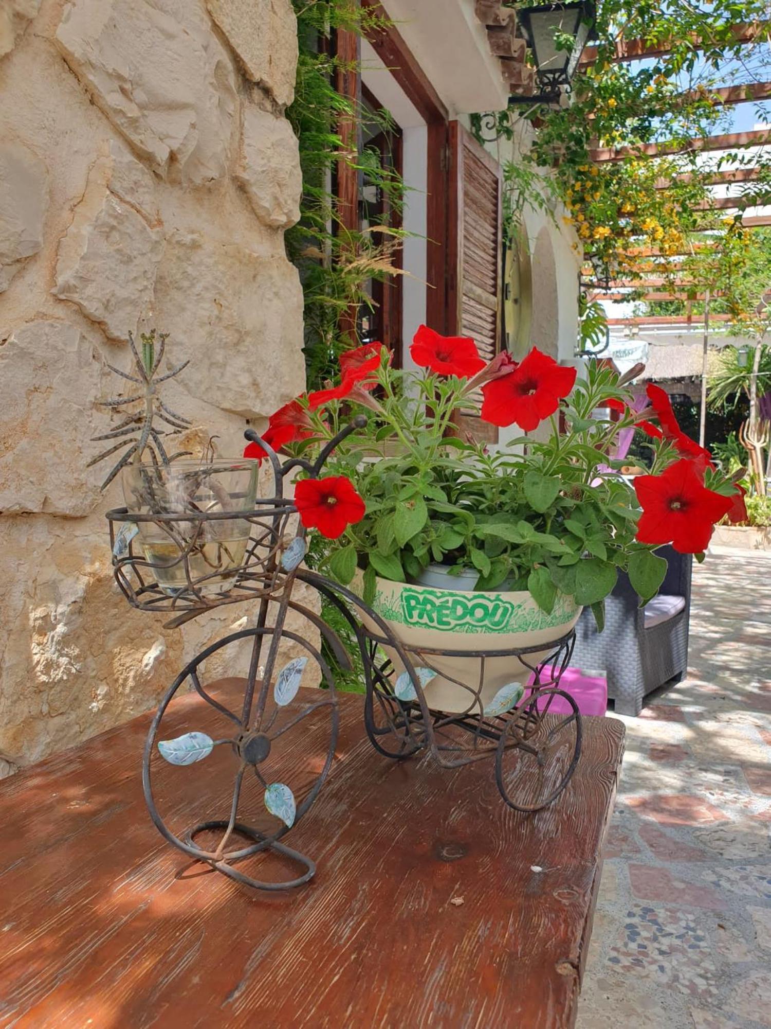 Hostal Mi Campana Denia Ngoại thất bức ảnh