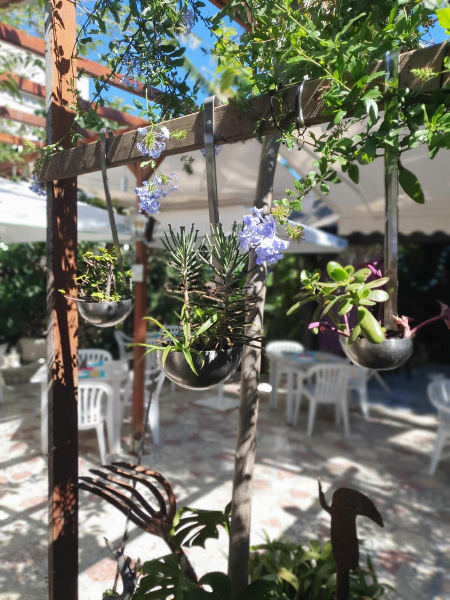 Hostal Mi Campana Denia Ngoại thất bức ảnh