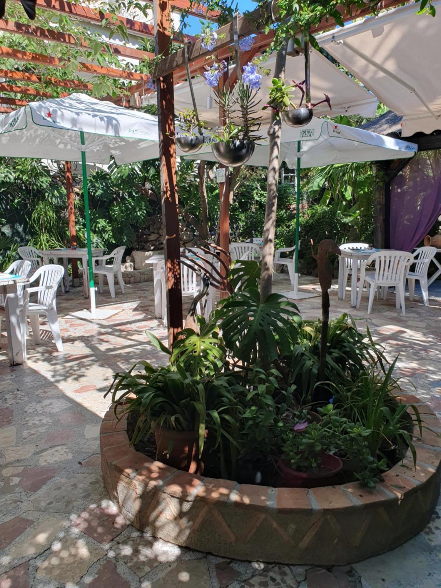 Hostal Mi Campana Denia Ngoại thất bức ảnh